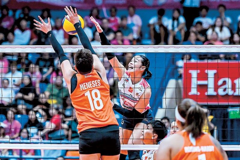 PVL dream match on