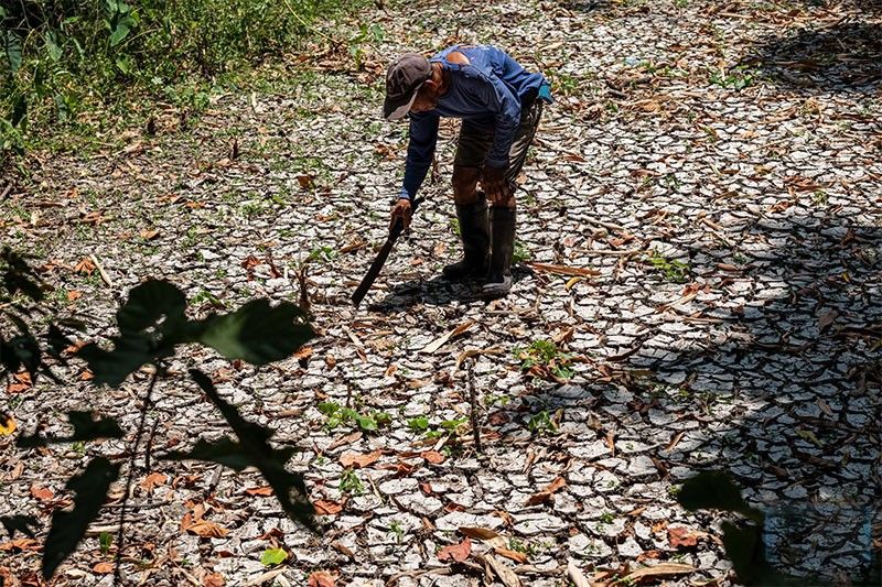 Drought hits 15 Luzon provinces
