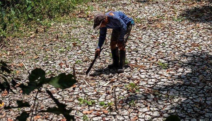 Drought hits 15 Luzon provinces
