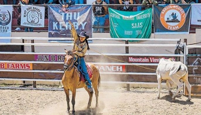 Cowgirls of Philippines rodeo tackle steers, stereotypes