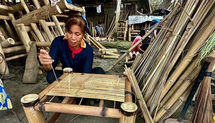 DA seeks up to $1 billion funding for bamboo, livestock development