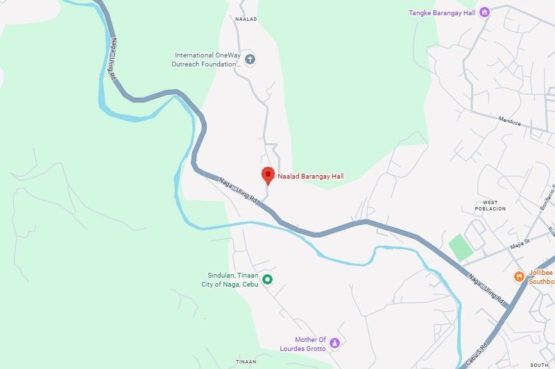 Grass fire hits 4-hectare lot in Naga