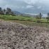 DOT discourages non-essential travel near Mayon danger zone