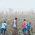 Mayon ashfall affects 132 schools