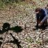 Government ramps up El Niño preparations