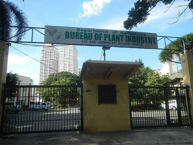 DA unit seeks P1.5 billion to fund food safety labs