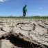 Looming El Niño seen to escalate national energy crisis