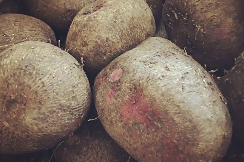Ube adds flavor to Boholano savory dish