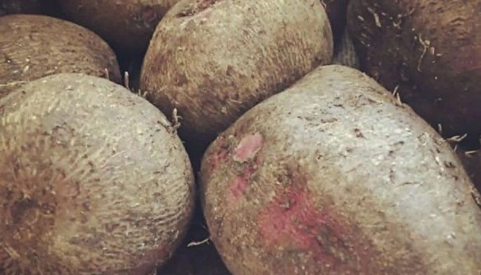 Ube adds flavor to Boholano savory dish