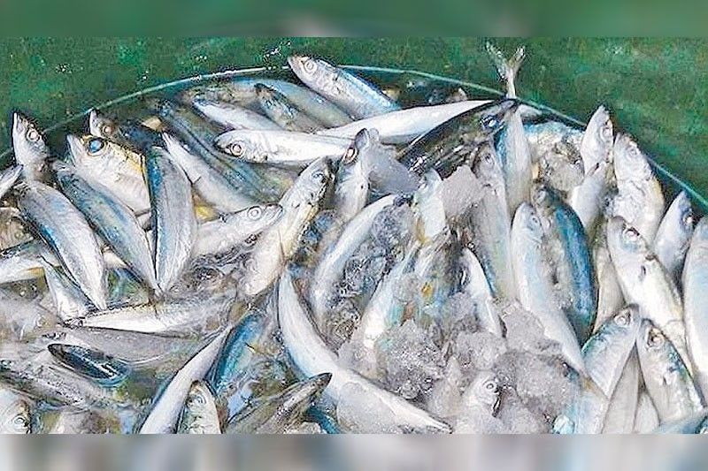 DA suspends import clearance for mackerel