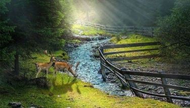 Dilemmas and Deeper Faith