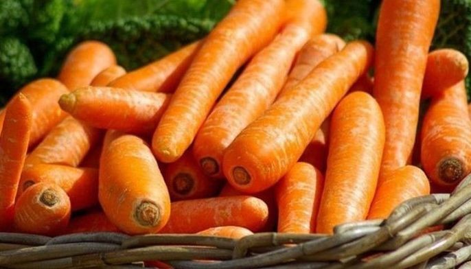 Cordillera farmers worried over surge of imported carrots