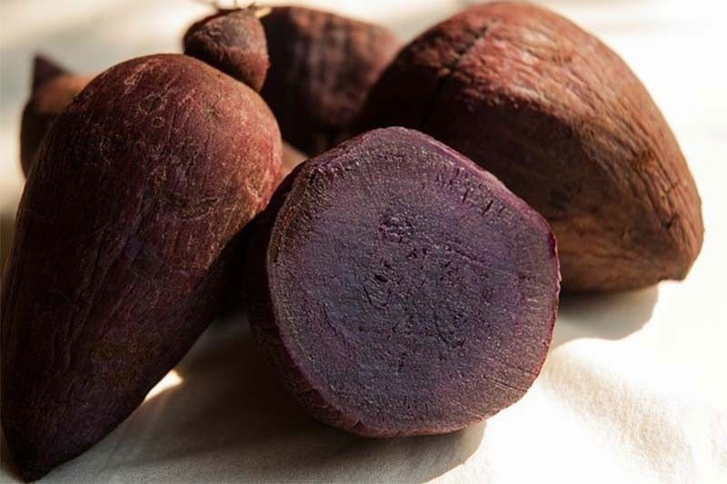 âPhilippines does not import fresh ubeâ
