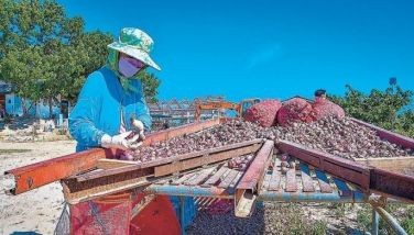 Onion farmers get credit line via Jollibee, BanKo partnership