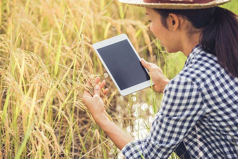 Infrastructure, trust crucial in sustaining digital agriculture across ASEAN