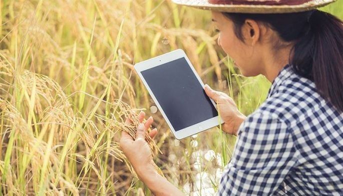 Infrastructure, trust crucial in sustaining digital agriculture across ASEAN