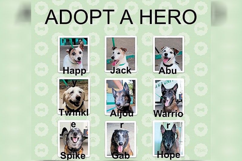 9 PDEA drug-sniffing dogs up for adoption