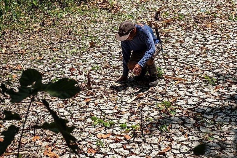 Rainwater harvesting infrastructure needed as El Niño nears