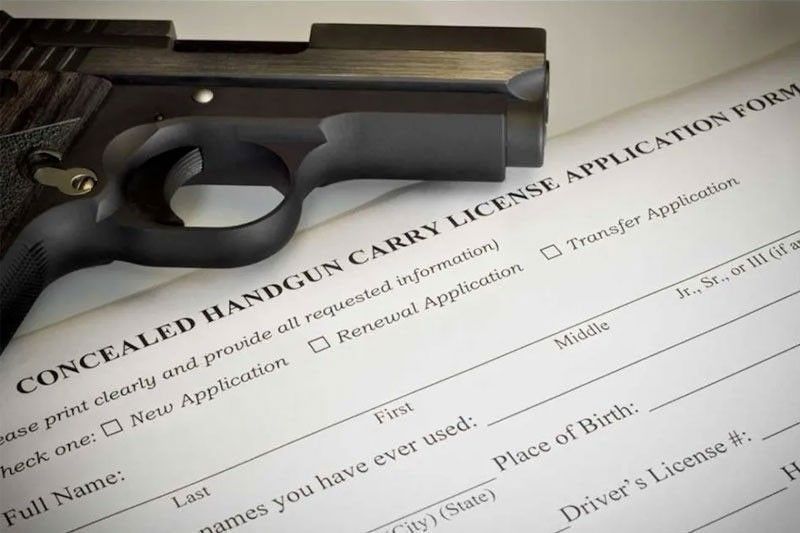 Firearms Law amyendahan &acirc;�� DILG