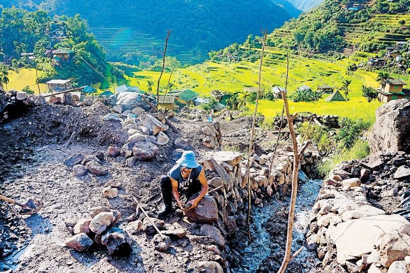 President Marcos urged: Save disaster-hit Batad rice terraces
