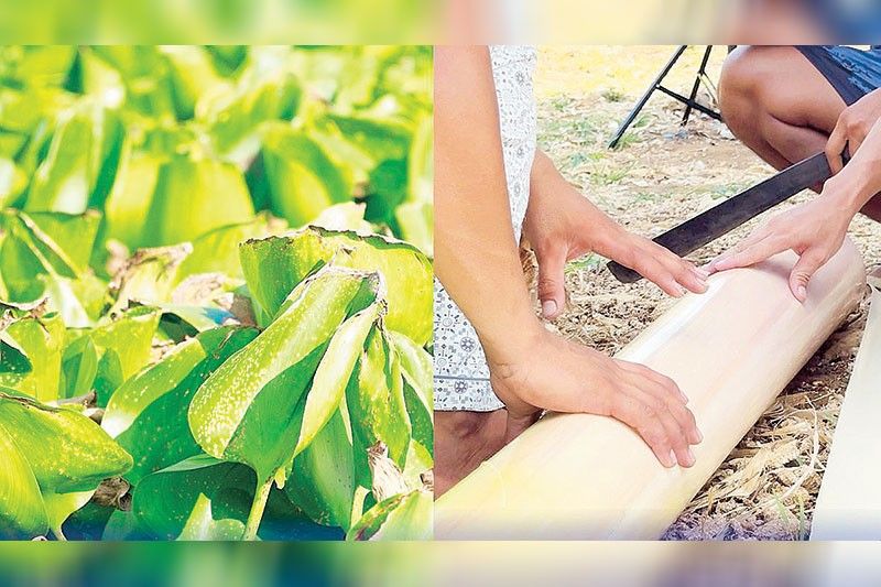 ONWARD launched in push for non-woven textiles