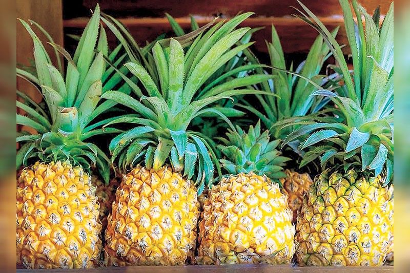 Philippines pineapples arrive in UAE