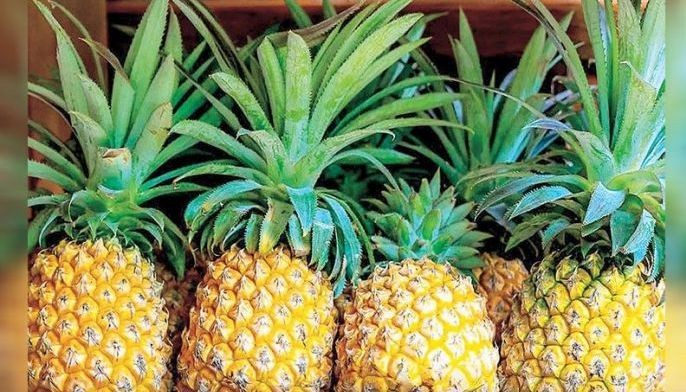 Philippines pineapples arrive in UAE