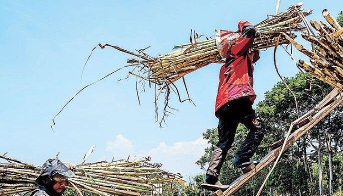 Negros Occidental declares state of calamity
