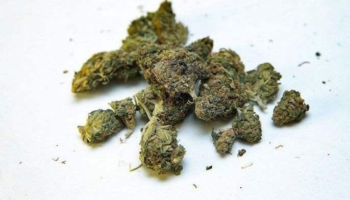 2 estudyante, nahulihan ng marijuana sa paaralan