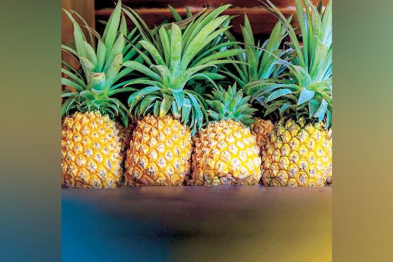Philippines, US finalizing deal for pineapple exports