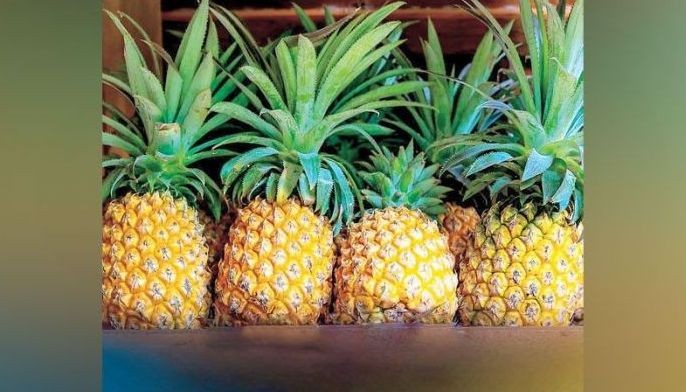 Philippines, US finalizing deal for pineapple exports
