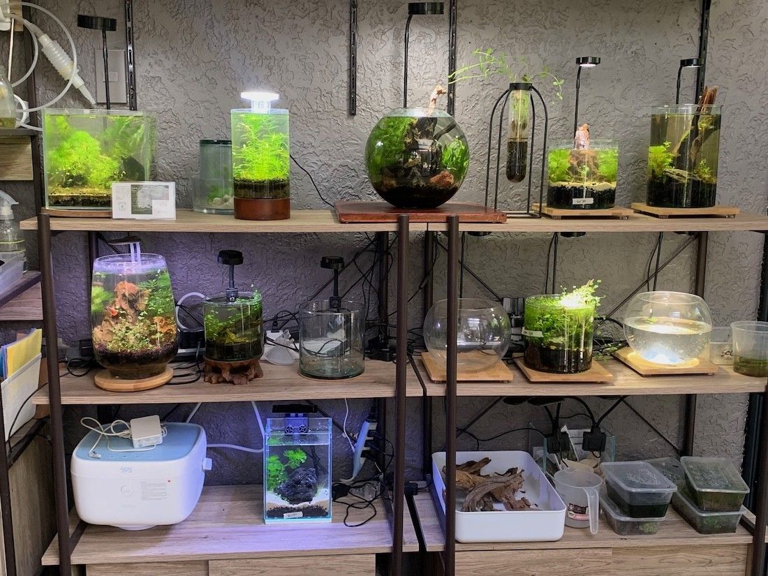 A hobbyist's story: Tabletop tanks provide calm in digital world