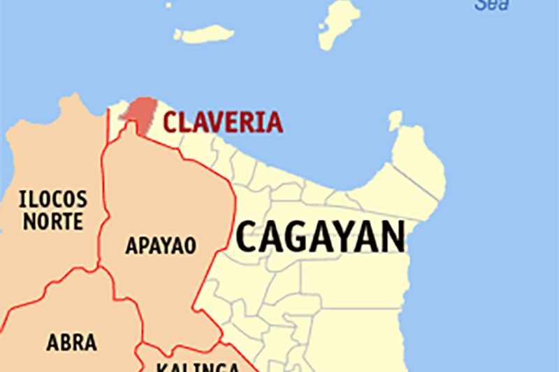 Kagubatan sa Cagayan, kinalbo ng illegal loggers