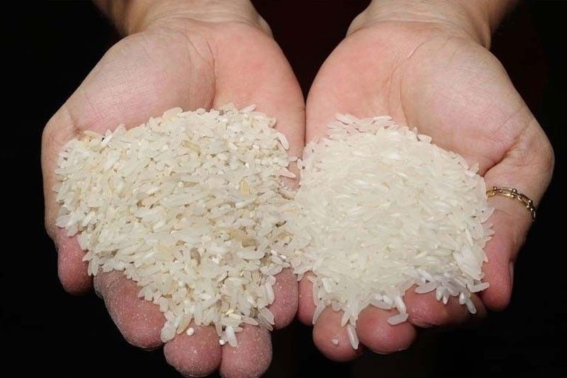Benhur joins FL in rice distribution