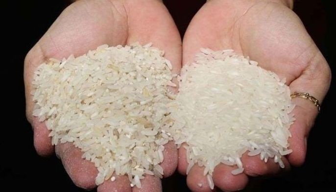 Benhur joins FL in rice distribution