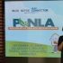 Priscilla ‘Prescy’ Domingo, chairperson of Makabagong Agrikultura ng Dinalupihan Marketing Cooperative (MADMC), speaks during the PUNLA 2.1 culminating activity on November 26, 2025.