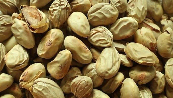 Langka seeds as healthy snack to eat