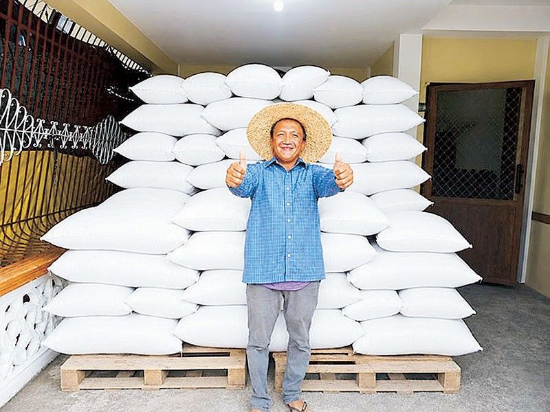 Ilocos Norte farmer reaps gains from high-zinc rice