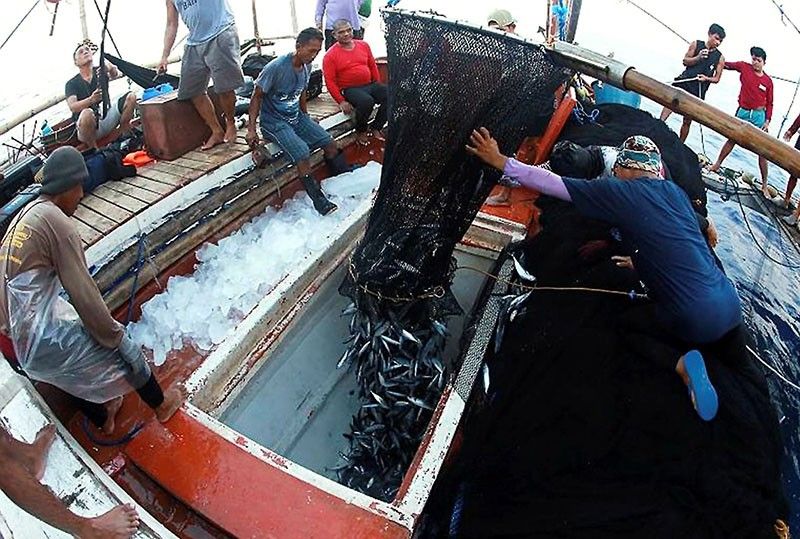 UP study reveals West Philippine Sea marine value