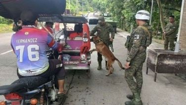 3 teroristang BIFF sugatan sa Maguindanao encounter