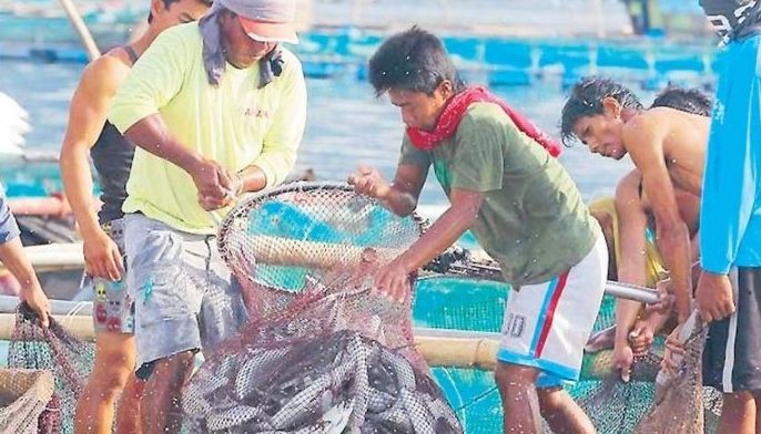 DA plots long-term plans to boost agricultural-fisheries sector