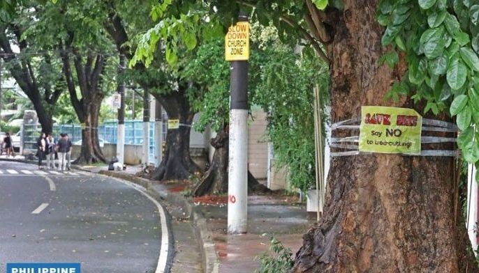 Marikina villagers buck plan to cut trees