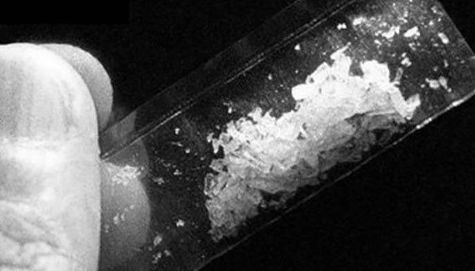 CPPO seizes P937K shabu