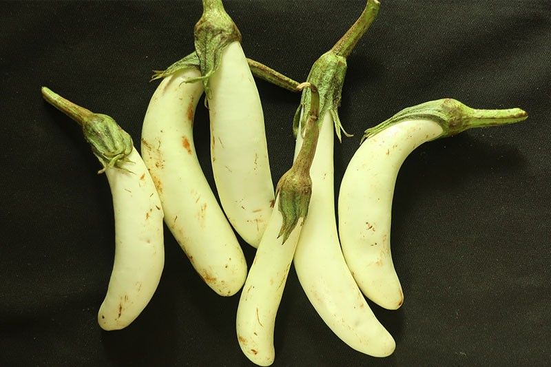 How to bring out the best flavor of 'summer vegetable' white eggplant