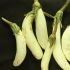 White eggplants from Benguet.