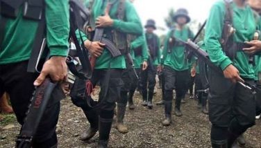 3 rebels killed in Abra clash