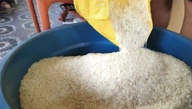 DA shelves rice cap plan, rules out ban on imports