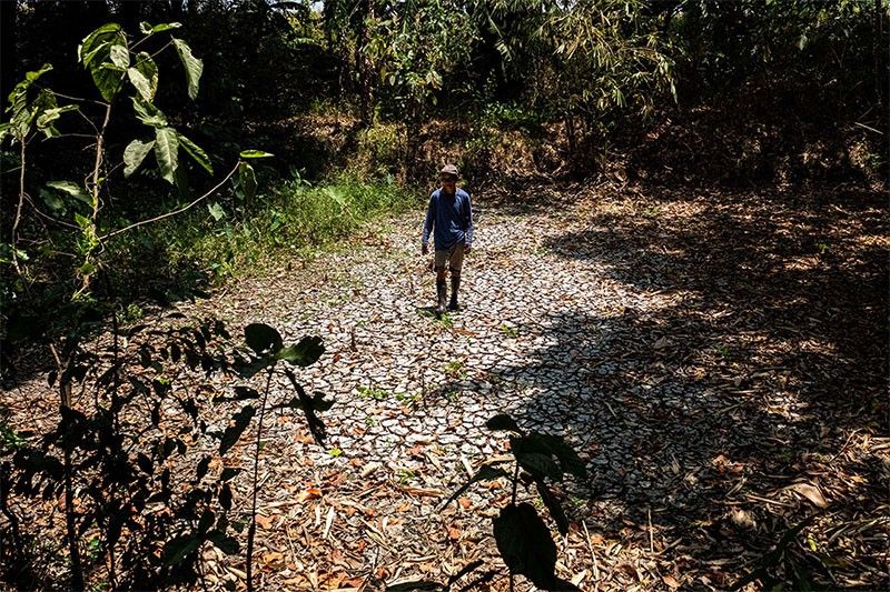 ‘Philippines most vulnerable in ASEAN to El Niño’