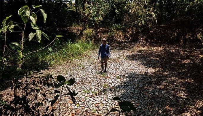 &lsquo;Philippines most vulnerable in ASEAN to El Ni&ntilde;o&rsquo;