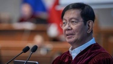Ping pushes accountability in Taguig reclamation